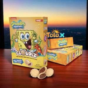 Nickelodeon cookie chocolate - 30g (12 pcs)