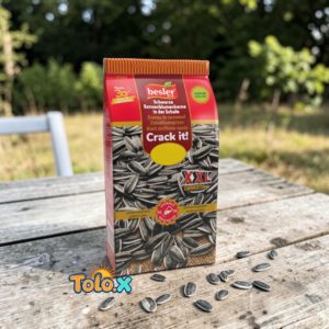 Graine de tournesol salted 16x250g