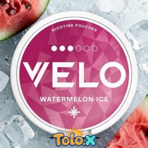 Velo : Watermelon 3 étoile 10pcs